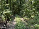 12.55ac Winningham Rd - Photo 3