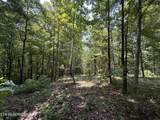 12.55ac Winningham Rd - Photo 6