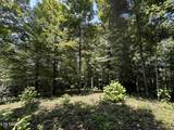 12.55ac Winningham Rd - Photo 8