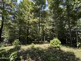 12.55ac Winningham Rd - Photo 9