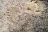 6.49 AC Garrett Town Lane - Photo 27