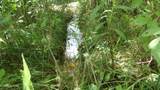 5.6 ac Lonnie Reecer Rd - Photo 42