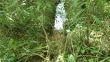 5.6 ac Lonnie Reecer Rd - Photo 43