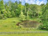  Marble Hill Rd - Photo 21