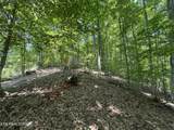 lot 44 Ridgeland Drive - Photo 13