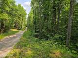  Towee Mountain Drive - Photo 10