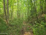  Towee Mountain Drive - Photo 11