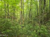  Towee Mountain Drive - Photo 12