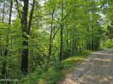  Towee Mountain Drive - Photo 4