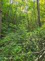  Towee Mountain Drive - Photo 6
