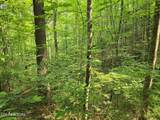  Towee Mountain Drive - Photo 7