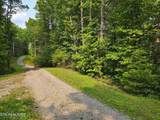  Towee Mountain Drive - Photo 9