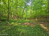  Cruze Rd - Photo 2