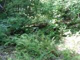  Ditney Trail Tr - Photo 13