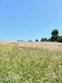 2995 Hwy 131 - Photo 4