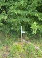 1477 Old Chilhowee Rd - Photo 28