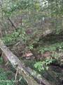 1477 Old Chilhowee Rd - Photo 31