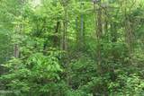  Dry Creek Rd - Photo 11
