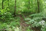  Dry Creek Rd - Photo 2