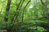  Dry Creek Rd - Photo 4