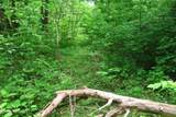  Dry Creek Rd - Photo 6