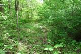  Dry Creek Rd - Photo 7