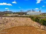 Lot 3 Winfield Dunn Pkwy - Photo 8