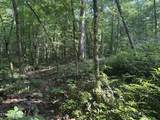  Smoky Cove Rd - Photo 2