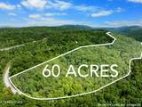  Stinking Creek 61 Acres Rd - Photo 1