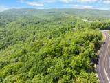  Stinking Creek 61 Acres Rd - Photo 10