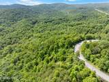 Stinking Creek 61 Acres Rd - Photo 11