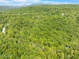  Stinking Creek 61 Acres Rd - Photo 13