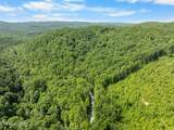  Stinking Creek 61 Acres Rd - Photo 14