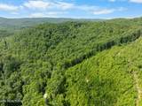  Stinking Creek 61 Acres Rd - Photo 15