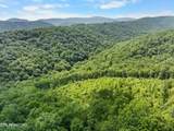  Stinking Creek 61 Acres Rd - Photo 18