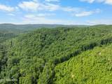  Stinking Creek 61 Acres Rd - Photo 19