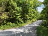  Stinking Creek 61 Acres Rd - Photo 2