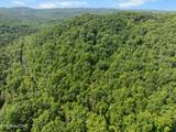  Stinking Creek 61 Acres Rd - Photo 20