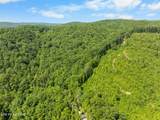  Stinking Creek 61 Acres Rd - Photo 21