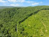  Stinking Creek 61 Acres Rd - Photo 22