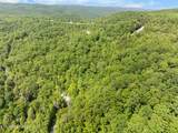  Stinking Creek 61 Acres Rd - Photo 23