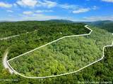  Stinking Creek 61 Acres Rd - Photo 3