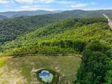  Stinking Creek 61 Acres Rd - Photo 4