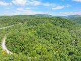  Stinking Creek 61 Acres Rd - Photo 5