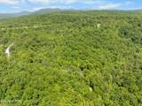  Stinking Creek 61 Acres Rd - Photo 7
