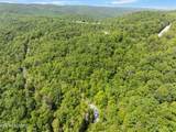  Stinking Creek 61 Acres Rd - Photo 9