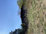 Lot 2 Co Rd 170 - Photo 3