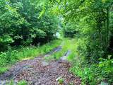  13.44 Ac Chestnut Ridge Rd - Photo 3