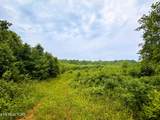  13.44 Ac Chestnut Ridge Rd - Photo 4