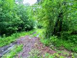  13.44 Ac Chestnut Ridge Rd - Photo 5
